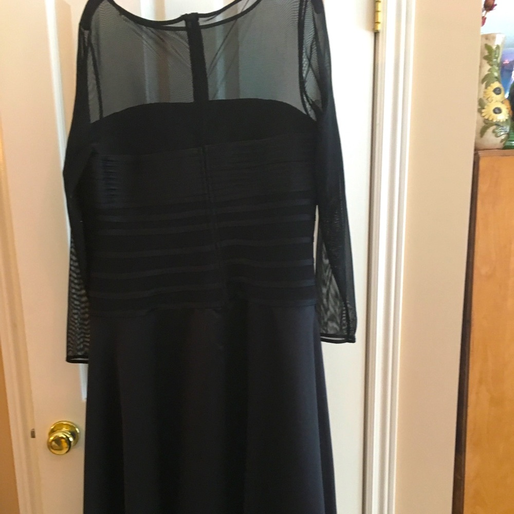 Black tie evening dress. See through bodice.